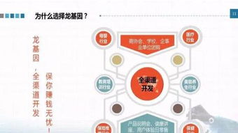 龍基因加盟 實體店培訓成就火爆加盟店，教育信息咨詢助力創業成功